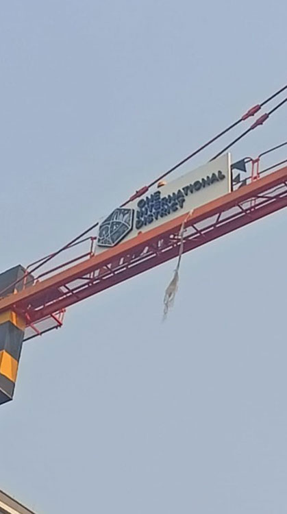 o1